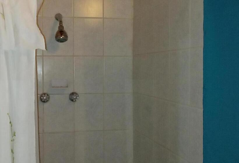 غرفة قياسية فردية, Bun Clody Manor   Guest House & Coffee Shop