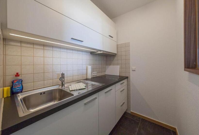 شقة غرفة نوم واحدة مزودة بشُرفة, Gasthaus Seeblick