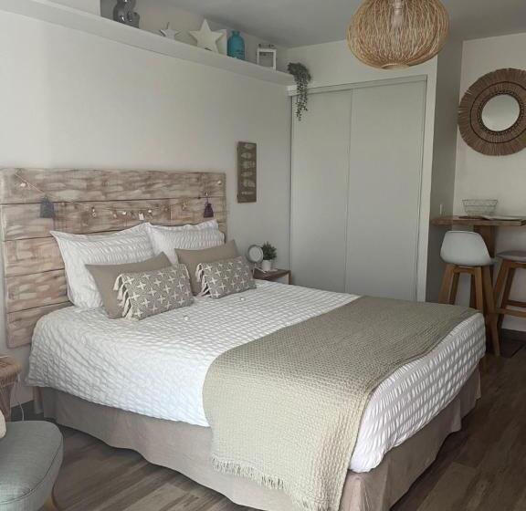 스탠다드 스튜디오, Studios Nuitée En Provence