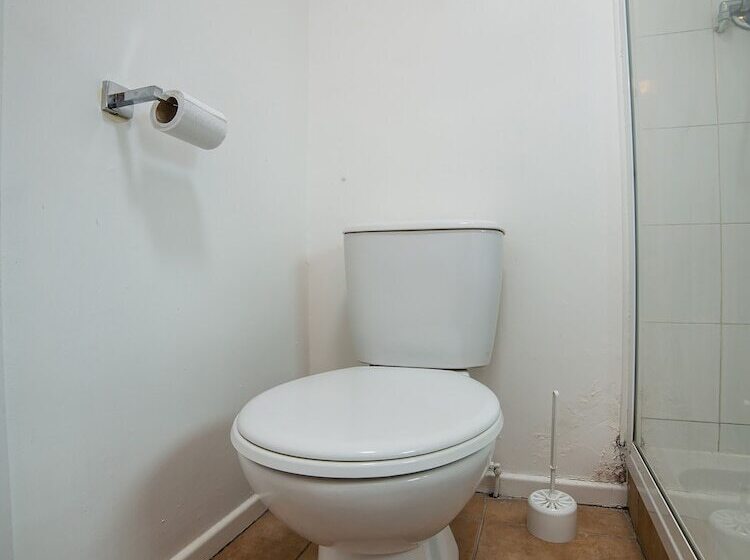 エコノミーシングルルーム, The Douglas