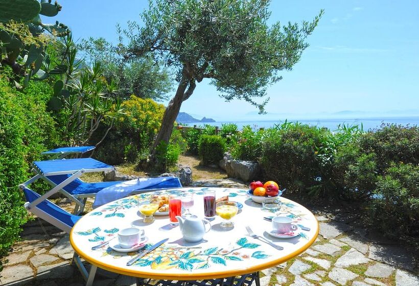 Номер Superior, Costa Diva