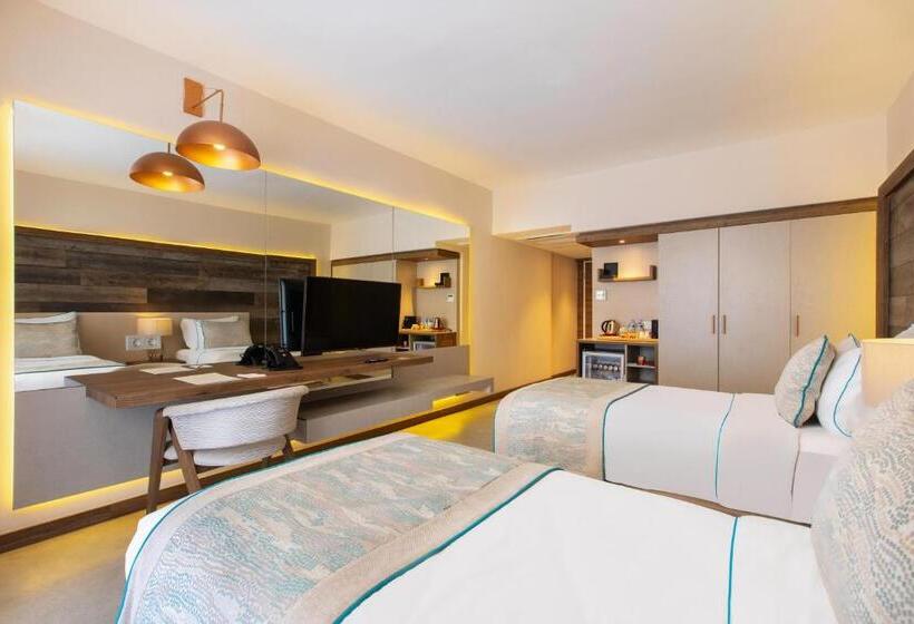 اتاق سوپریور, Design Plus Seya Beach