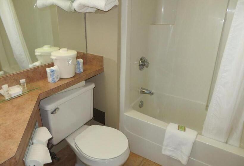 غرفة قياسية, Super 8 By Wyndham Sherwood Park/edmonton Area