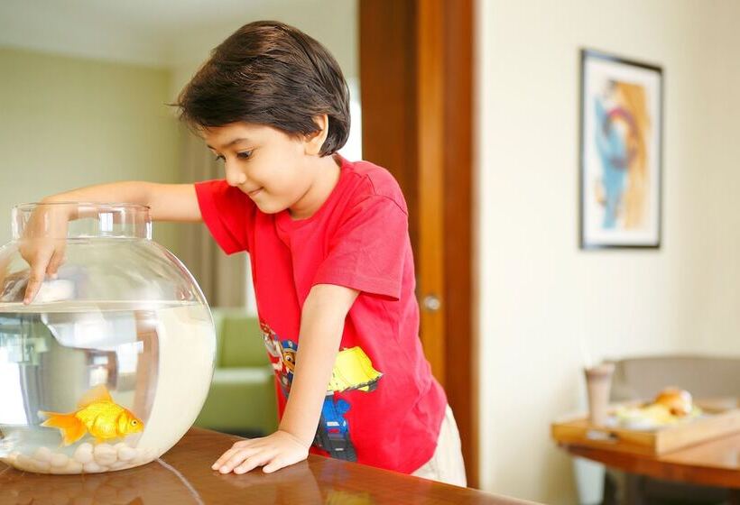 مجموعه ویستا شهر, The Westin Pune Koregaon Park