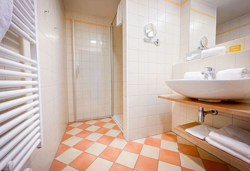 스탠다드 룸, Jufa Hotel Deutschlandsberg