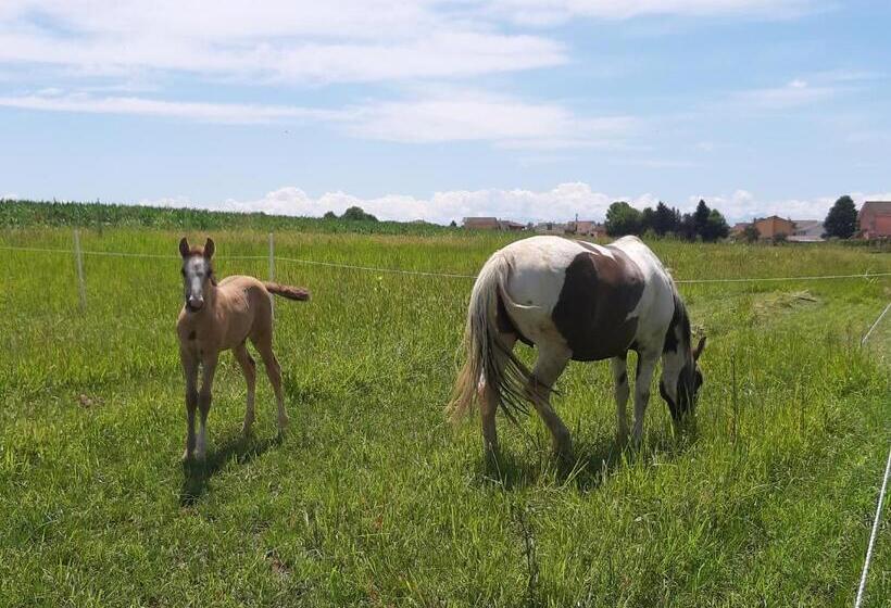 带1个卧室的公寓, Agriturismo Casa De Colores