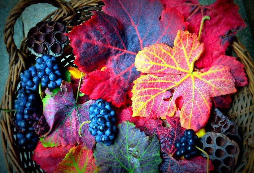 标准工作室, Agriturismo Casa De Colores