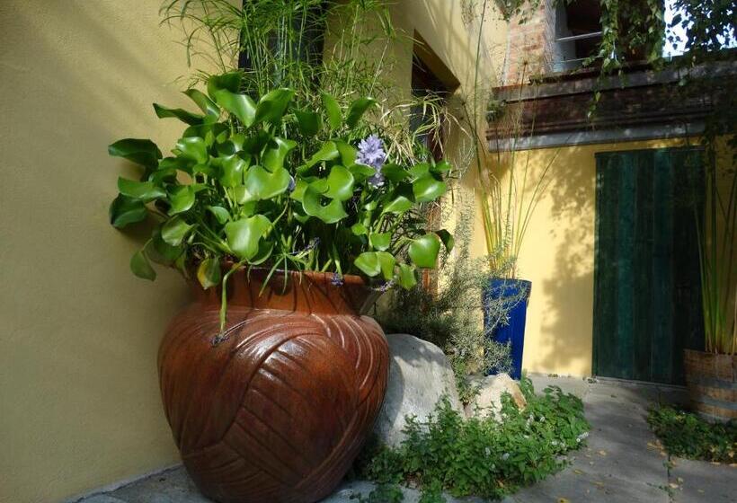 带1个卧室的公寓, Agriturismo Casa De Colores