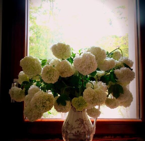 标准工作室, Agriturismo Casa De Colores