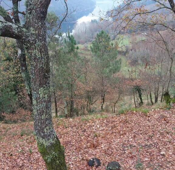 بانگلوی استاندارد 2 خوابه, Quinta Da Carvalha