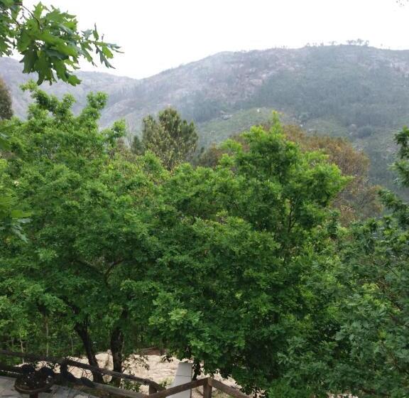 بنجلو قياسى, Quinta Da Carvalha