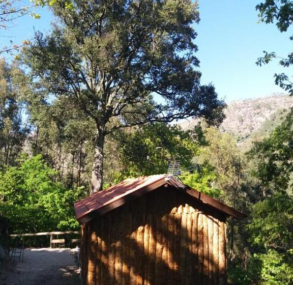 بنجلو قياسى, Quinta Da Carvalha