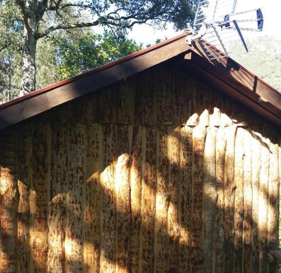 بنجلو قياسى, Quinta Da Carvalha