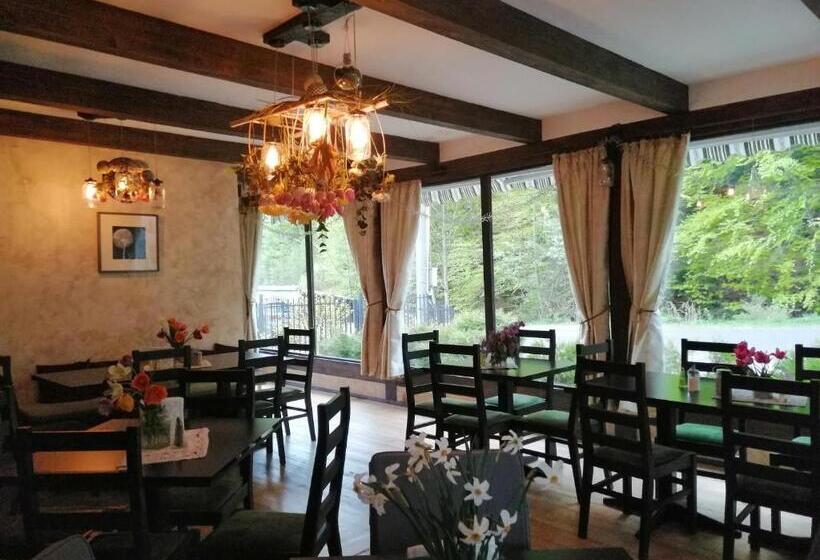 스탠다드 룸, Pensiunea Bia Papadia