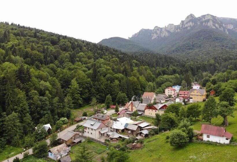 스탠다드 룸, Pensiunea Bia Papadia