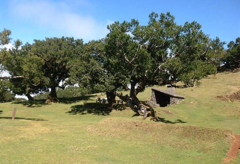 テラス付き1ベッドルームアパートメント, Pensão Fernandes