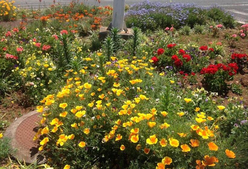 スタンダードスタジオ, Pensão Fernandes