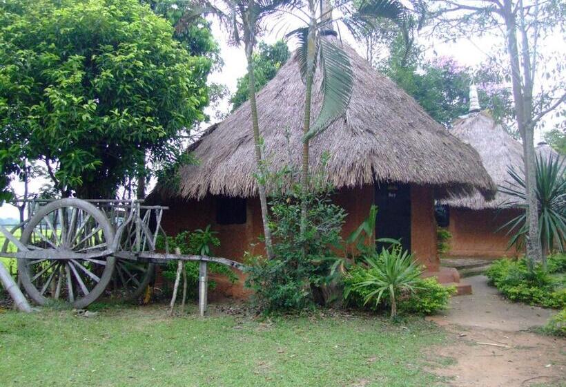 Номер Стандарт, Ban Din Resort Chiang Rai