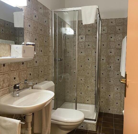 Номер Deluxe Одноместный, Albergo Stazione
