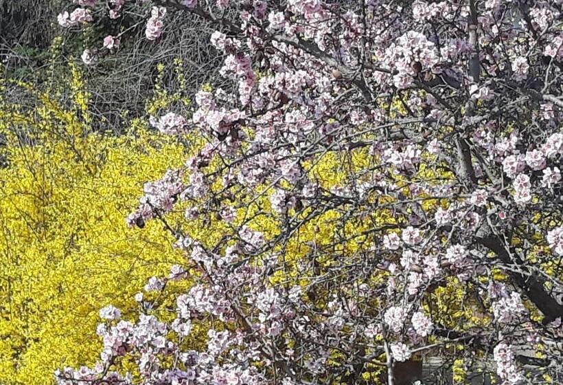 Апартаменты 2 Спальни, Aqua Apartman