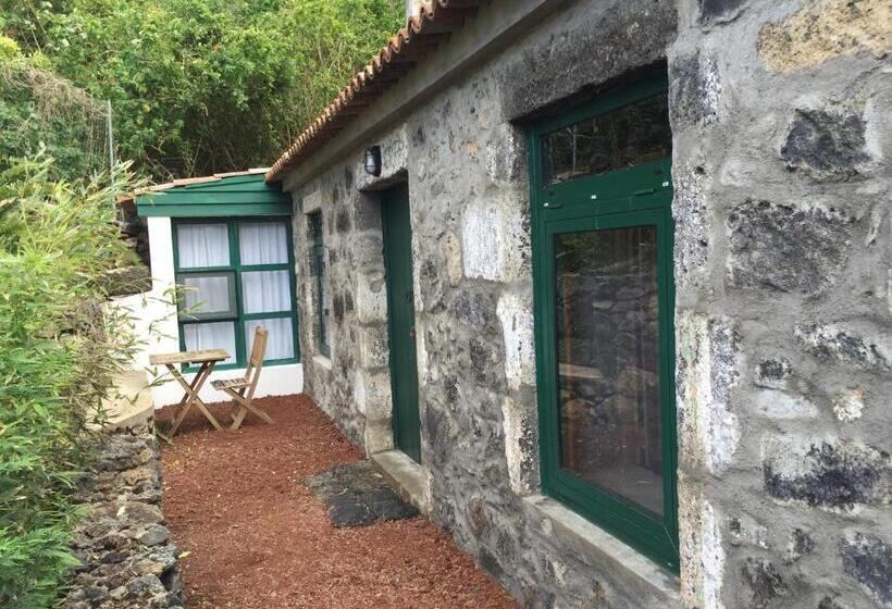 سوئیت جونیور با چشمانداز باغ, Casa Do Populo