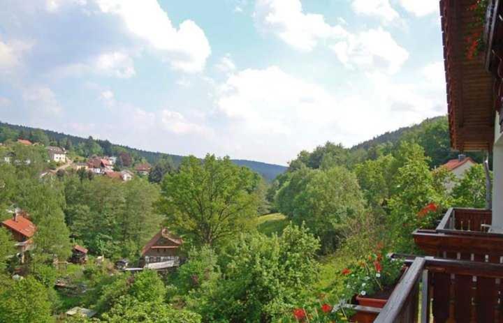 Номер Deluxe с Балконом, Gasthaus Zum Spalterwald