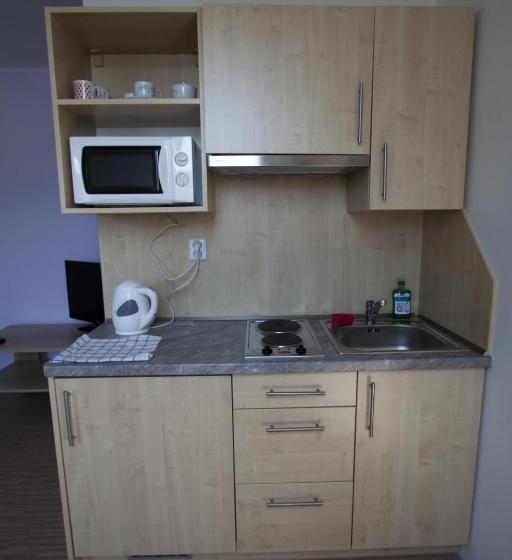 דירת חדר, Vila Aneta