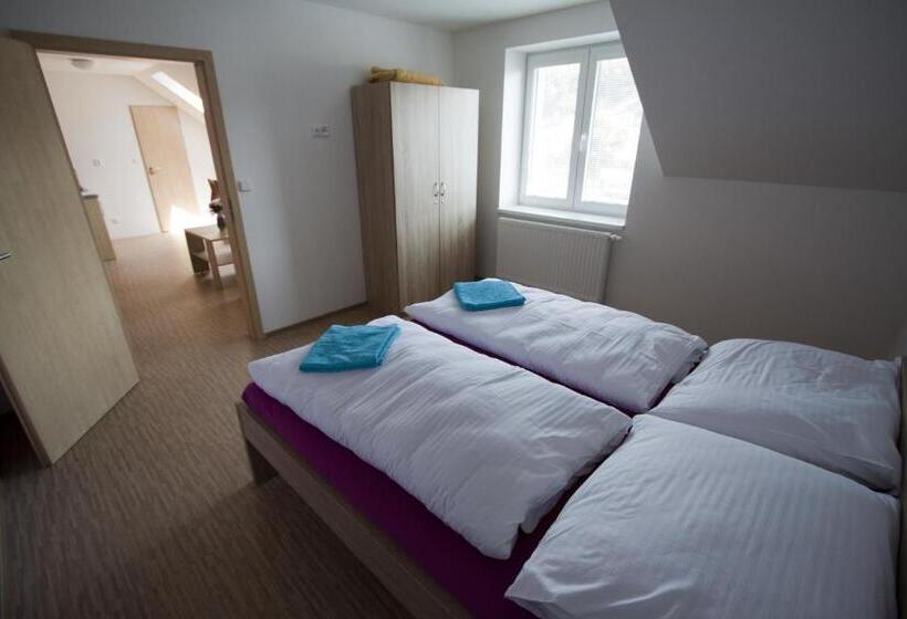 דירת חדר, Vila Aneta