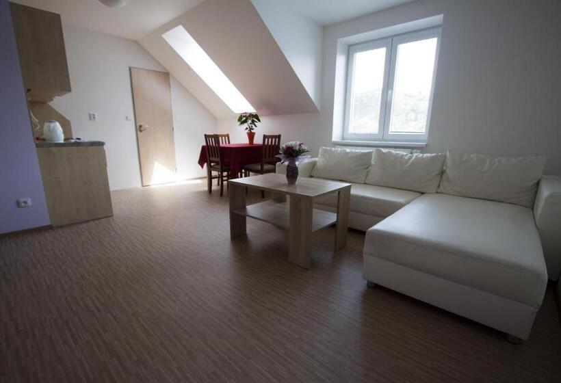 דירת חדר, Vila Aneta