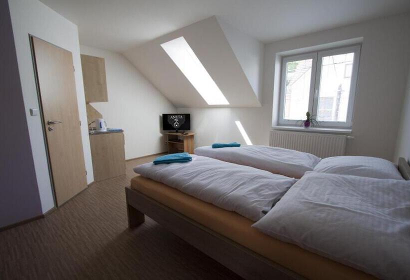 חדר סטנדרט, Vila Aneta