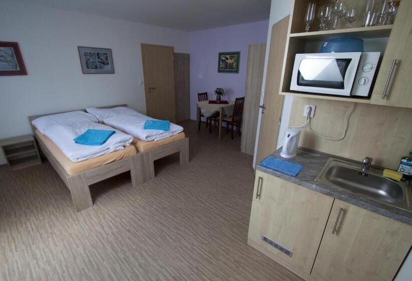 חדר סטנדרט, Vila Aneta