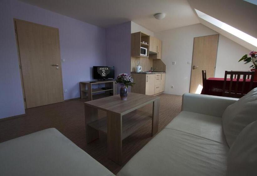 דירת חדר, Vila Aneta