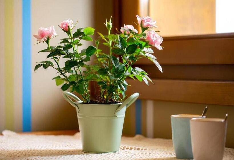 1ベッドルームハウス, Residence Panorama