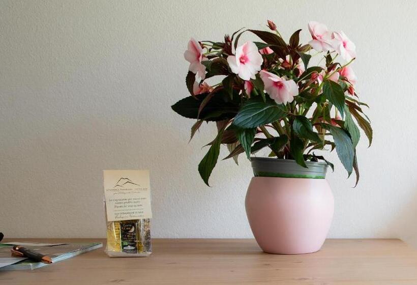 デラックストリプルルーム, Residence Panorama