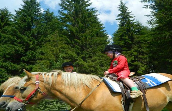 スーペリアールーム, Residence Panorama