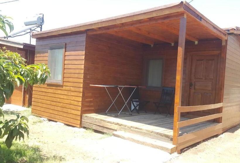 Family Suite, Sakin Vadi Winehouse