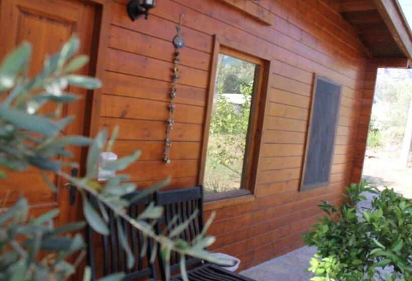 Deluxe Bungalow, Sakin Vadi Winehouse