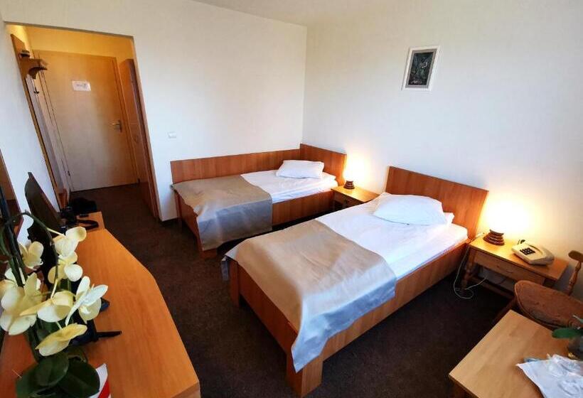 Номер Стандарт Индивидуальный, Montana   Covasna