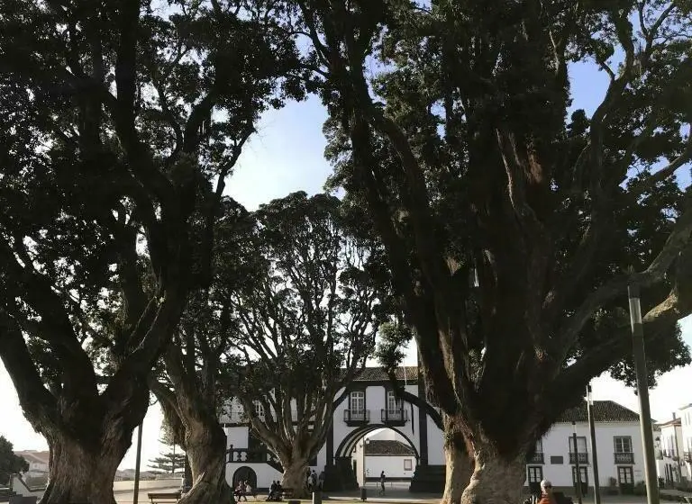 スタンダードトリプルルーム, Costa Norte Guesthouse
