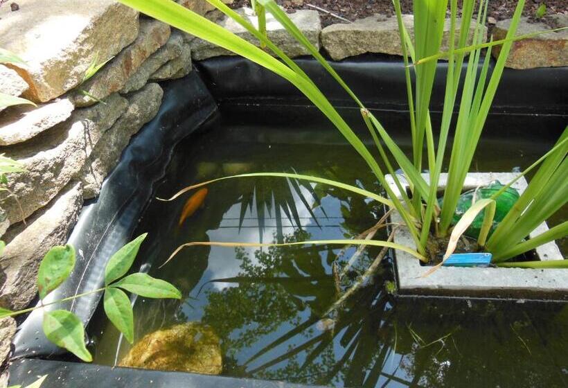 חדר סטנדרט, Ty An Eol