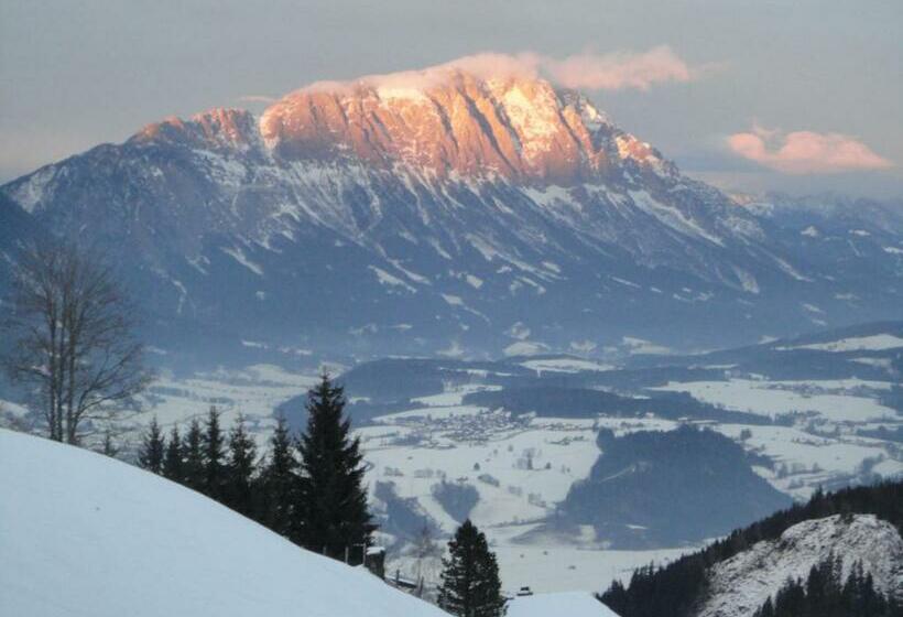 Апартаменты 1 Спальня, Kirchenbichlerhof