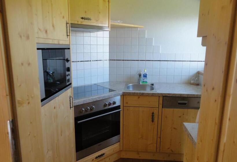 Апартаменты 1 Спальня с Видом, Kirchenbichlerhof