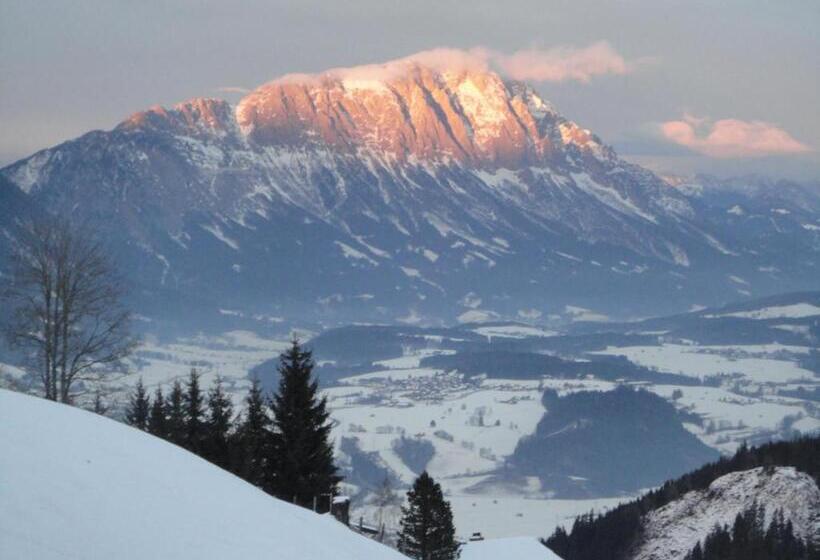 Апартаменты 1 Спальня с Видом, Kirchenbichlerhof