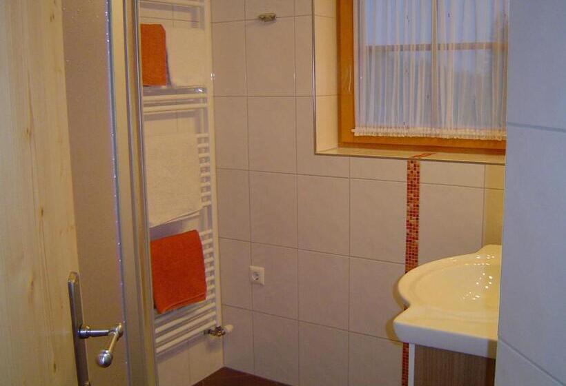 Апартаменты 1 Спальня с Видом, Kirchenbichlerhof