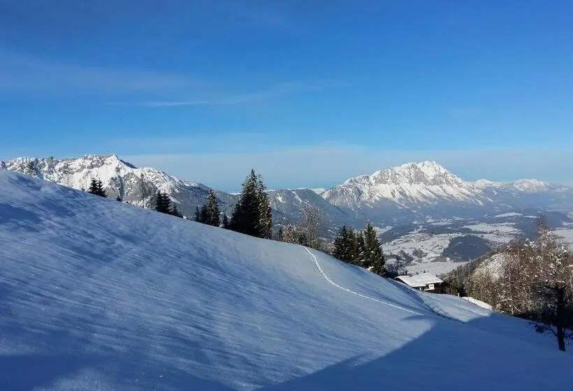 バルコニー付きスタンダードルーム, Kirchenbichlerhof