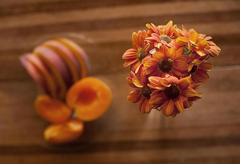 メゾネットスイート, Relais B&b Betty Bike