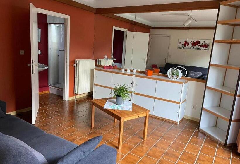 Студио Стандарт с Террасой, B&b Des Bois Sans Nombre