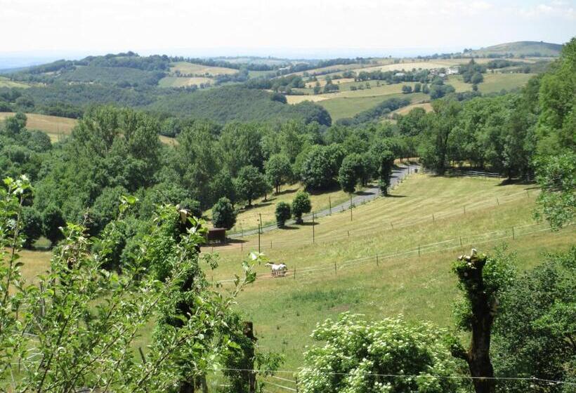 デラックスルーム, Château Du Puech