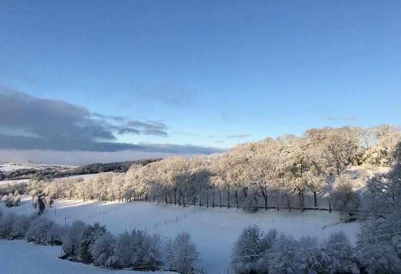 חדר סטנדרט, Château Du Puech
