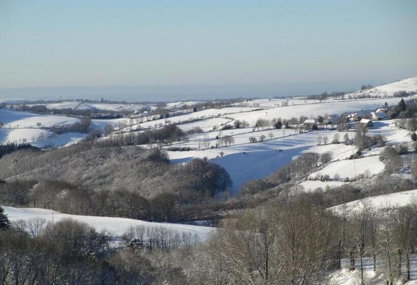 デラックスルーム, Château Du Puech